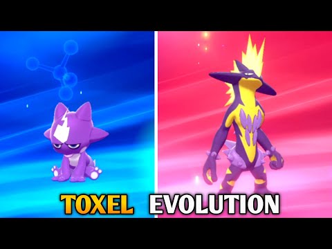 How To Evolve Toxel Into Toxtricity In Pokemon Sword & Shield | Galar Pokedex