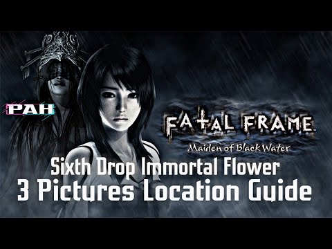 Fatal Frame/Project Zero 5: Maiden of Black Water [Sixth Drop Immortal Flower Three Pictures Guide]