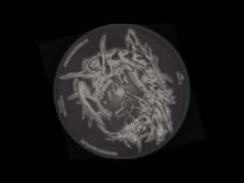 Hesed-aka-Elekttronix (Analog Tecne'Model 003).B2: Hesed-The perfect drug (2006).