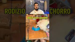 Respeitar e amar um animal é aceitar que ele é um animal, não um ser humano!