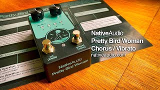 Video thumbnail for Native Audio: Pretty Bird Woman Chorus & Vibrato by Brett Kingman