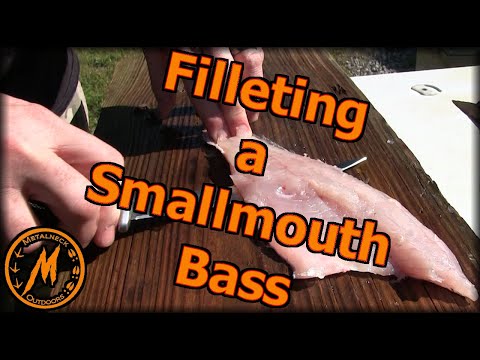 How to Fillet a Smallmouth Bass using the Pin bone method