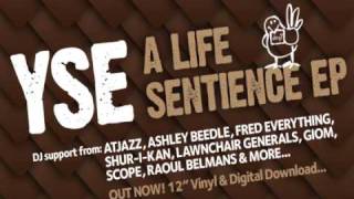 Yse - Disappear / Lost My Dog