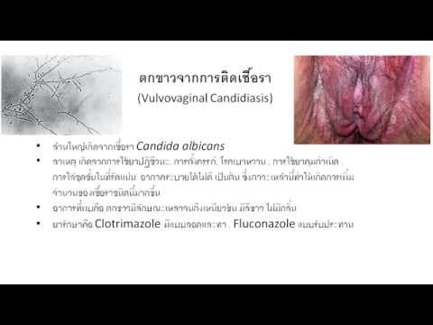 สูตรเพิ่มความแรง ความอ่อนแอของโปรตีน