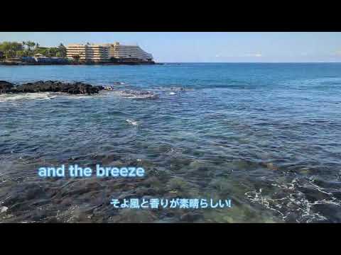 Sights, sound and smells of the Pacific Ocean at Kailua Kona. | rxhealthyhabits