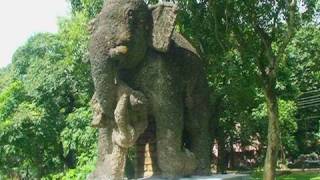 Elephant pool, Kolkata