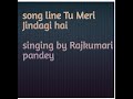 Song Line Tu Meri Jindagi Hai