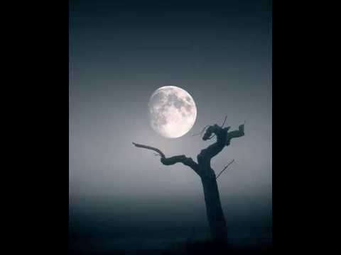 Sensorica - Searching The Way