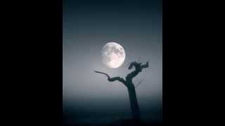 Sensorica - Searching The Way