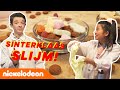Sinterklaas Snoepgoed SLIJM met Anoosha en Sam! ? | De Ludwigs | Nickelodeon Nederlands