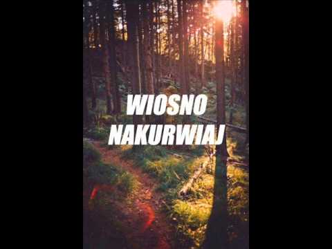 Czarny x Guzu  - W garści