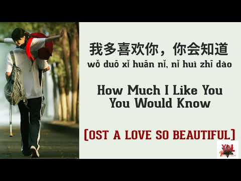 karaoke, a love so beautiful, lyrics #MV4 #Karoke