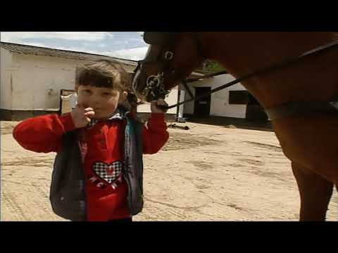 Season 2 Episode 1: Emily and the Trap TV Event