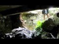 Hell House Urban Exploring Abandoned ...