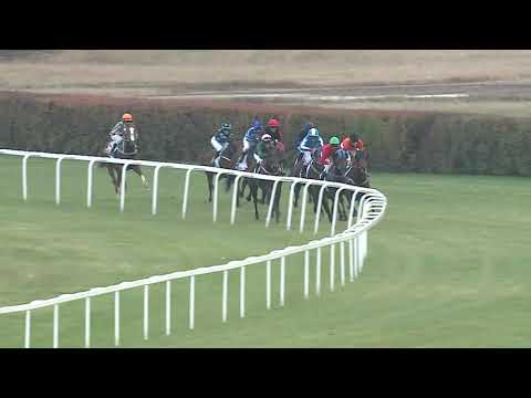 2021.11.07. 03. futam - KEREKES GÁBOR EMLÉKVERSENY - MAGYAR KÉTÉVESEK N.D. (Elit kat.)