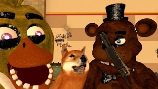 CHICA GETS A DOG!
