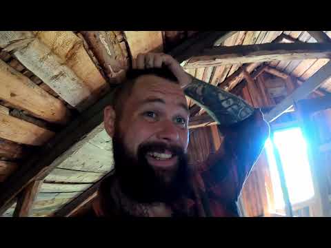 , title : 'The Runner ducks have arrived!! | Off grid living vlog'