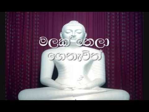 Malak Nela Genawith Karaoke (without voice) මලක් නෙලා ගෙනැවිත්