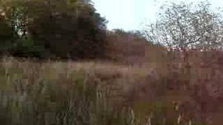 preview picture of video 'Portlethen Moss -  small walk through'