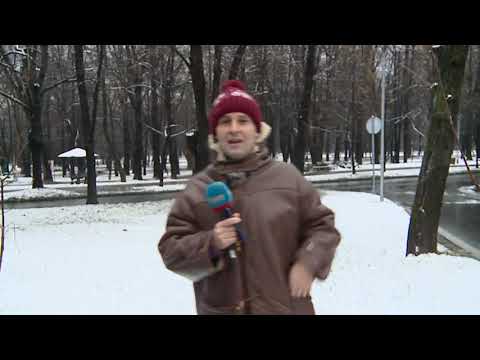 Marko u Hajd parku grudvama gadja drvo - DJS - (TV Happy 27.02.2020)