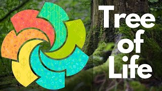 Tree Of Life Clue #7 From Cotton Cuts Puzzle Mystery Quilt