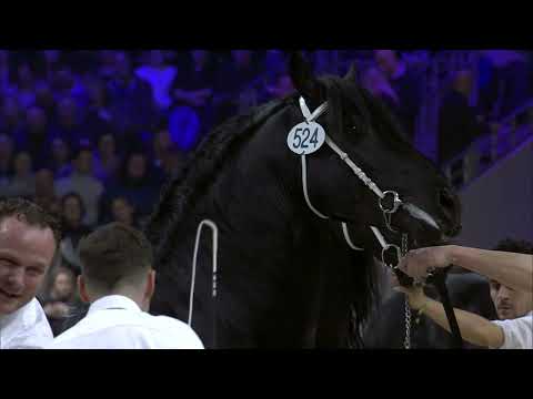 HK 2024 Winnaars rubriek 5