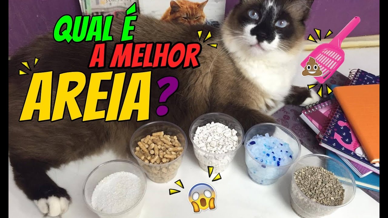 Tipos de AREIA para o seu gato!