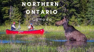 Sault Ste. Marie - Wawa - Thunder Bay | Excursie Canada Ep. 1