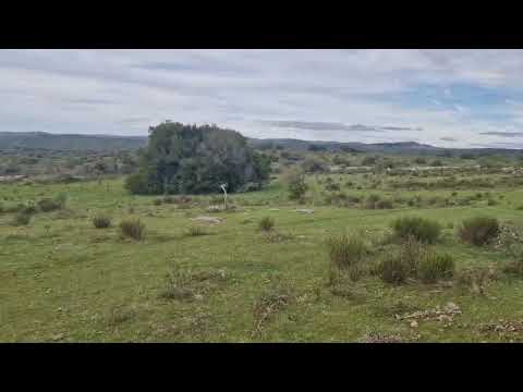 23 hectáreas en zona de Aiguá Maldonado