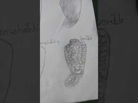 Different styles of pots #short #drawing #ateefa art and craft ideas#500subscribers #new
