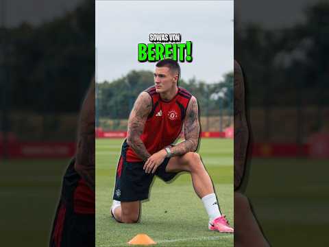 Kriegt Haaland jetzt Konkurrenz um die Torjägerkanone der Premier League?