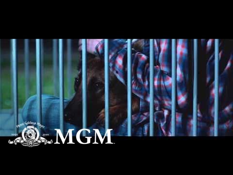 Max | Official Trailer [HD]