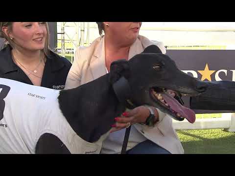 GREYHOUND DERBY - 2ND QF - T3 HELLO HAMMOND