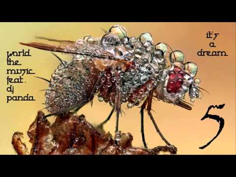 World Inside The Music feat. Dj Panda - It's A Dream (World Mix) ·1994·