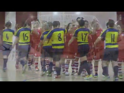 Camerano- Real Lions Ancona C5 2-1