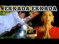 Ekkada Ekkada 4K Video Song 4k Video Song Murari 4k Video Mahesh Babu Sonali Bendre