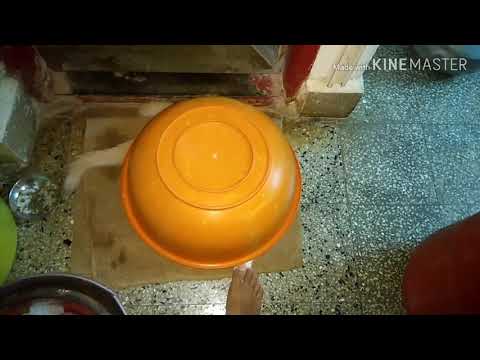 Cats playing with the owner.....!😁