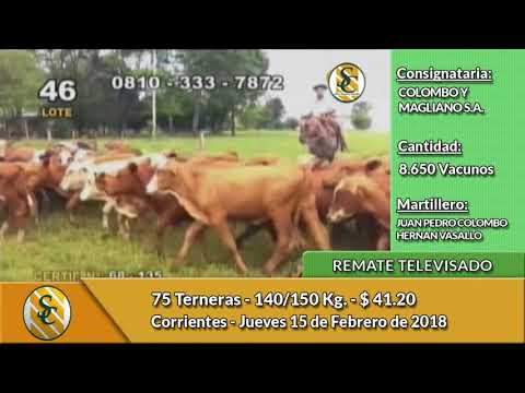 15-02-18 - Remate Televisado de Colombo y Magliano - Corrientes