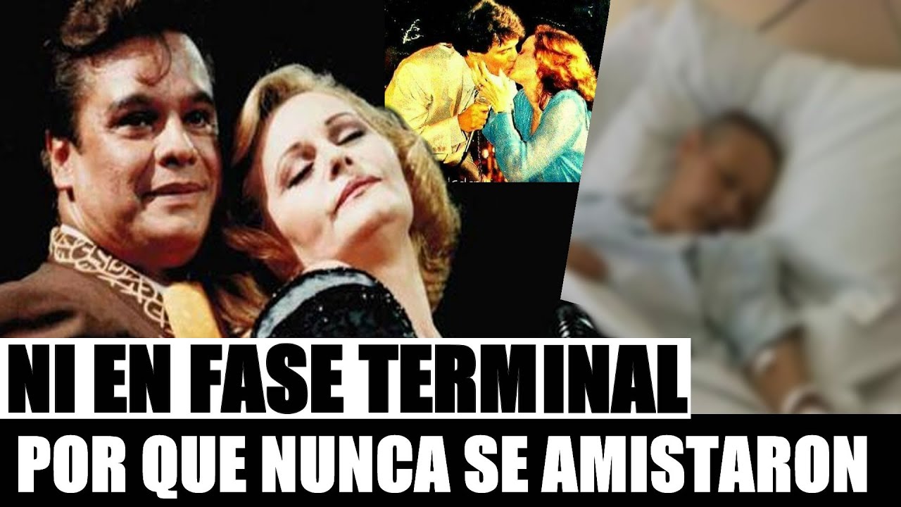 YouTube Thumbnail Downloader FULL HQ IMAGE