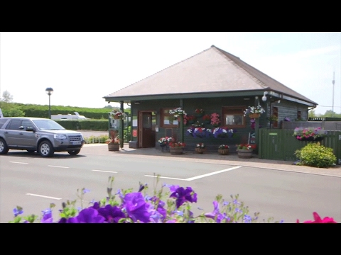 New Forest Caravan Club Site | Caravan and Motorhome Club