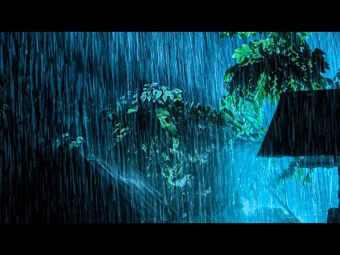 Listening for 3 Minutes & Fall into Deep Sleep, Real Heavy Rain On Tin Roof & Thunder Sound At Night