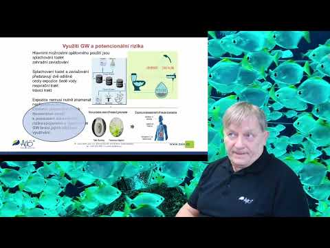 Šedé vody ... česká cesta