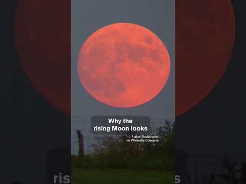 The Pink Moon Explained: What Causes its Pinkish Hue?
