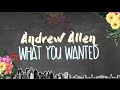 Andrew Allen - What You Wanted (Official Lyric Video)