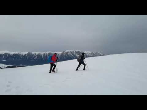 Pe creasta Munților Baiului, iarna, februarie 2021