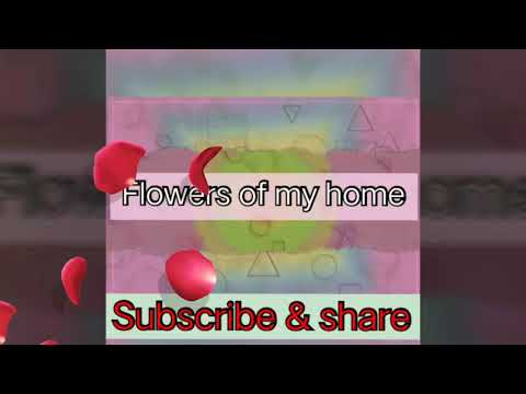 Naturality is pure 😊🌹🌺🌼🌷 blessings of ALLAH 😊