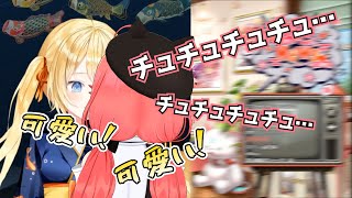 お正月衣装のワトソン・アメリアが可愛すぎて限界化してしまうさくらみこ【さくらみこ切り抜き】