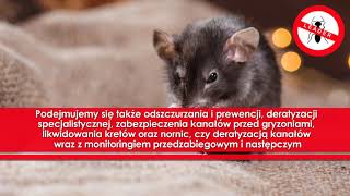 Zobacz filmy filmy