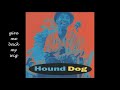 HOUND DOG TAYLOR "give me back my wig"