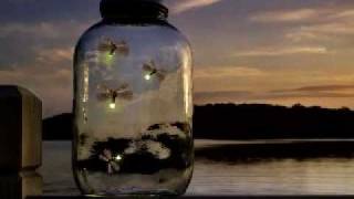 Silversun Pickups - ..All The Go Inbetweens